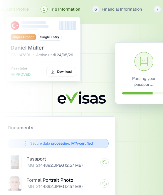 eVisa Application Platforms